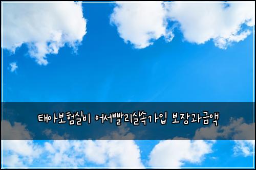 태아보험실비 어서빨리실속가입 보장과금액