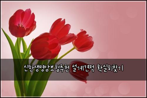 신한생명암보험추천 설계견적 확실히찾기