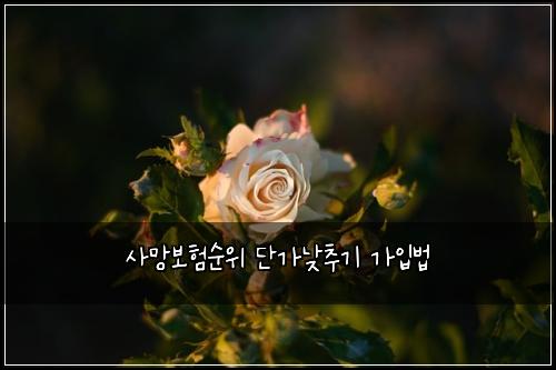 ์ฌ๋ง๋ณดํ์์ ๋จ๊ฐ๋ฎ์ถ๊ธฐ ๊ฐ์
๋ฒ