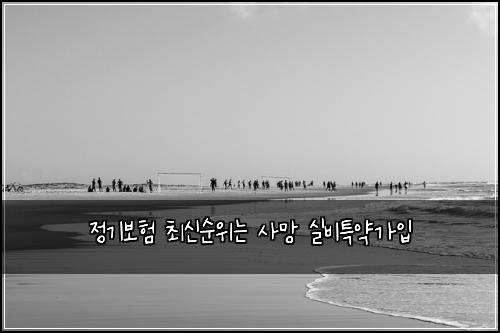 정기보험 최신순위는  사망 실비특약가입