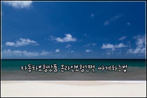 ์๋์ฐจ๋ณดํ์ํ ์จ๋ผ์ธ๋ณดํ๊ฒฌ์ ์ธ๊ฒํ๋๋ฒ