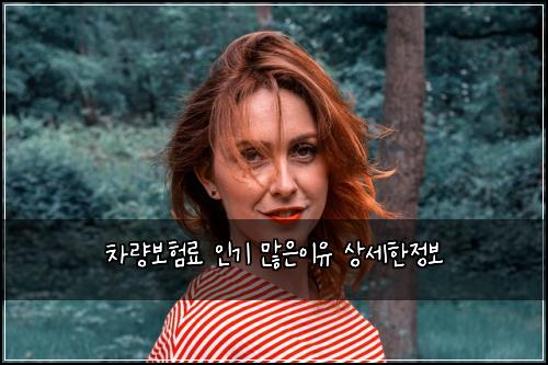 차량보험료 인기 많은이유 상세한정보