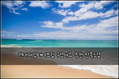 현대해상태아보험 구성해요  추천 만족도업