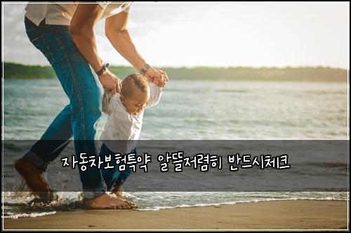 자동차보험특약 알뜰저렴히 반드시체크
