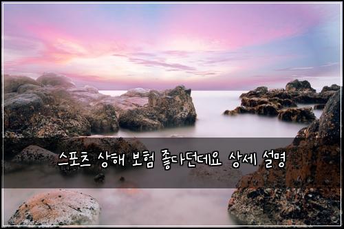 스포츠 상해 보험 좋다던데요  상세 설명
