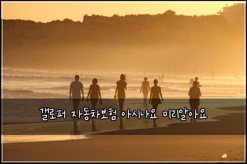 갤로퍼 자동차보험 아시나요  미리알아요
