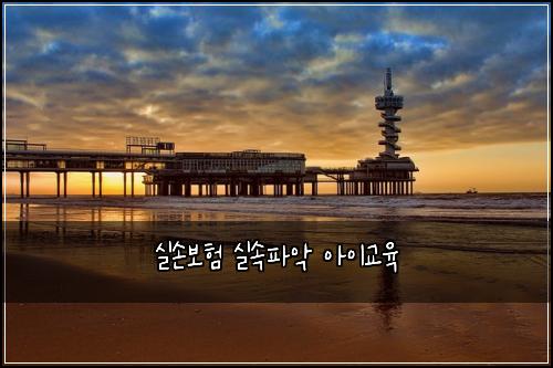 실손보험 실속파악  아이교육