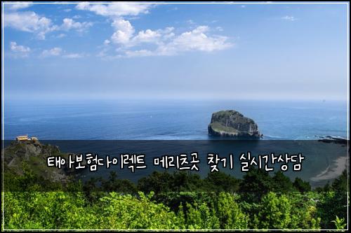 태아보험다이렉트 메리츠곳 찾기 실시간상담