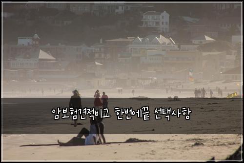 암보험견적비교 한번에끝 선택사항