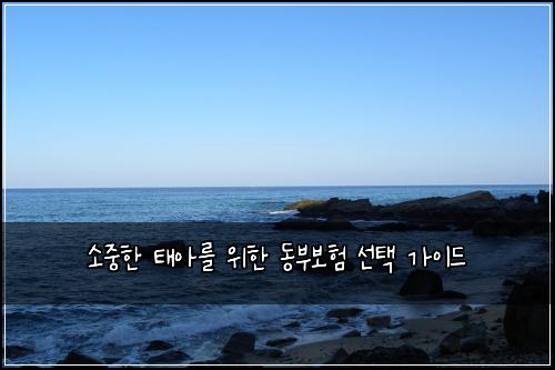소중한 태아를 위한 동부보험 선택 가이드