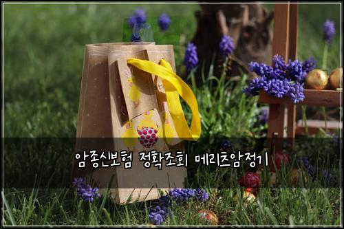 암종신보험 정확조회  메리츠암정기