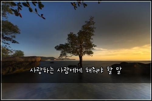사랑하는 사람에게 해줘야 할 말
