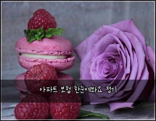 아파트 보험 한눈에봐요  정기