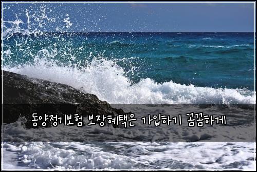 ๋์์ ๊ธฐ๋ณดํ ๋ณด์ฅํํ์ ๊ฐ์
ํ๊ธฐ ๊ผผ๊ผผํ๊ฒ