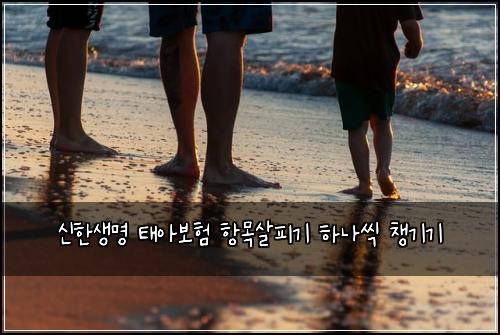 신한생명 태아보험 항목살피기  하나씩 챙기기