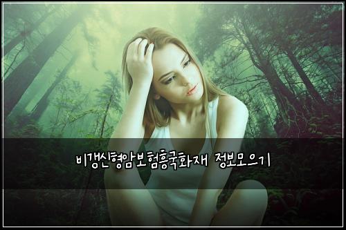 비갱신형암보험흥국화재 정보모으기