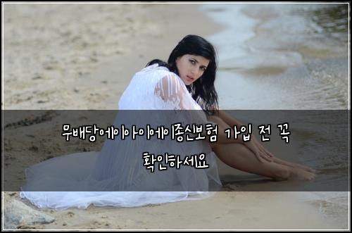 무배당에이아이에이종신보험 가입 전 꼭 확인하세요