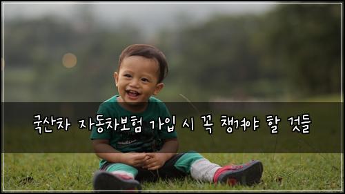 국산차 자동차보험 가입 시 꼭 챙겨야 할 것들