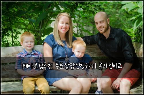 ํ์๋ณดํ์ถ์ฒ ๋ฌด๋ฃ์๋ด์ ์ฒญํ๊ธฐ ์จ๋ผ์ธ๋น๊ต