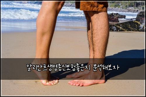 알리안츠생명종신보험좋은지 분석해보자