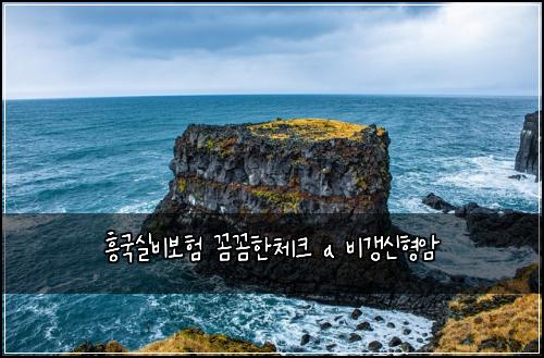 흥국실비보험 꼼꼼한체크  a 비갱신형암