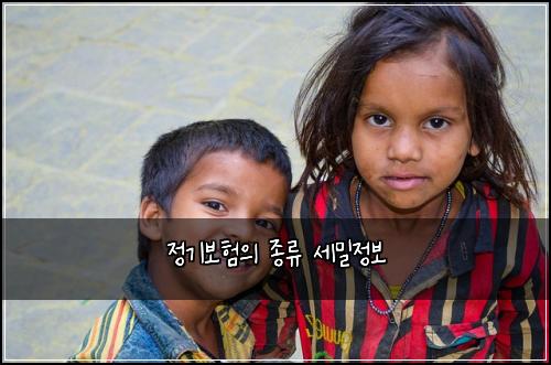정기보험의 종류 세밀정보