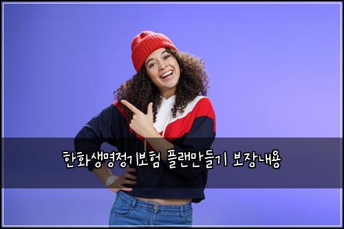 한화생명정기보험 플랜만들기  보장내용
