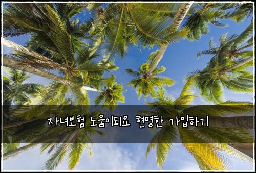 자녀보험 도움이되요  현명한 가입하기