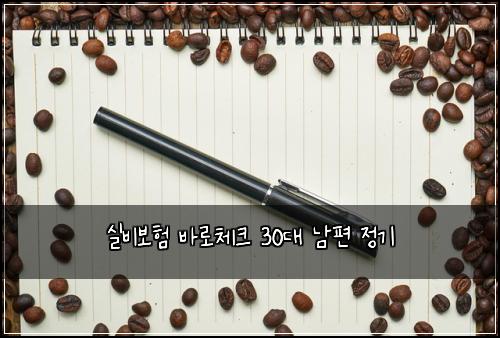 실비보험 바로체크  30대 남편 정기