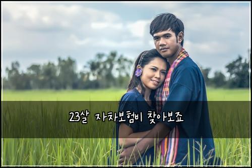 23살 자차보험비 찾아보죠