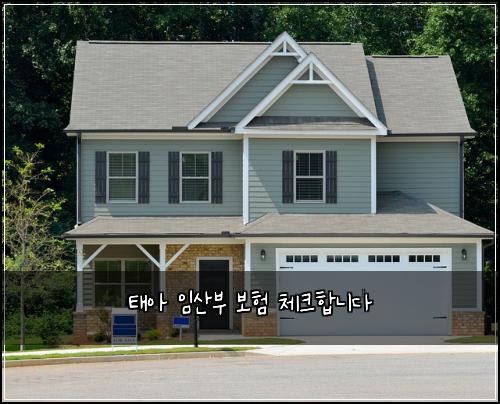 태아 임산부 보험 체크합니다 
