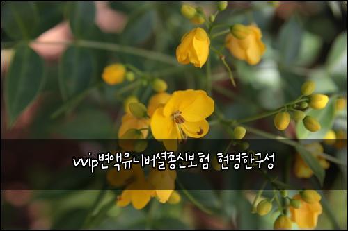vvip변액유니버셜종신보험 현명한구성 