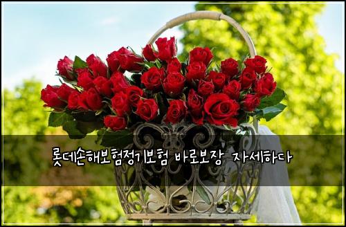 롯데손해보험정기보험 바로보장 자세하다