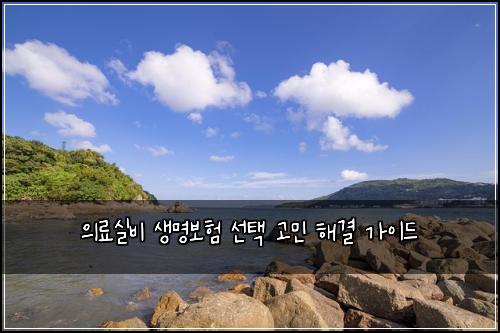 의료실비 생명보험 선택 고민 해결 가이드