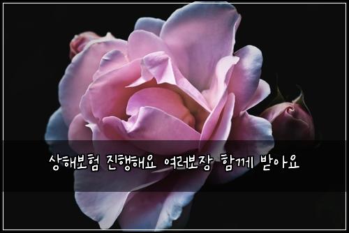 상해보험 진행해요  여러보장 함께 받아요