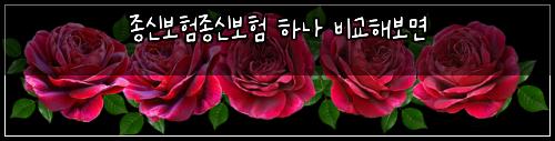 종신보험종신보험 하나 비교해보면