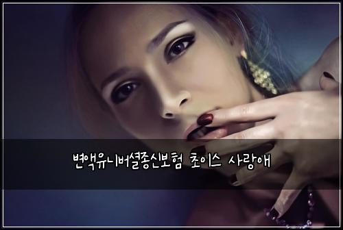 변액유니버셜종신보험 초이스  사랑애