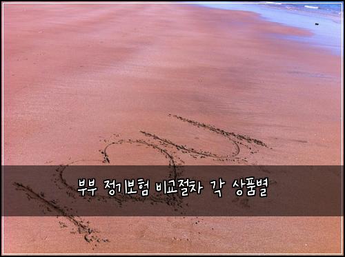 부부 정기보험 비교절차  각 상품별