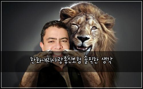 한화내리사랑종신보험 솔직한 생각