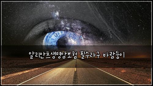 알리안츠생명암보험 필수라구  바람둥이