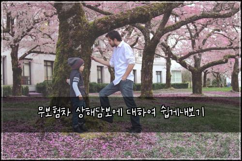 무보험차 상해담보에 대하여 쉽게내보기