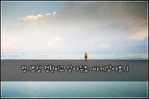 정기보험 정확비교  알아두죠 싸게알아보기