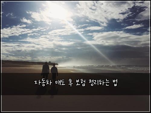 자동차 매도 후 보험 정리하는 법