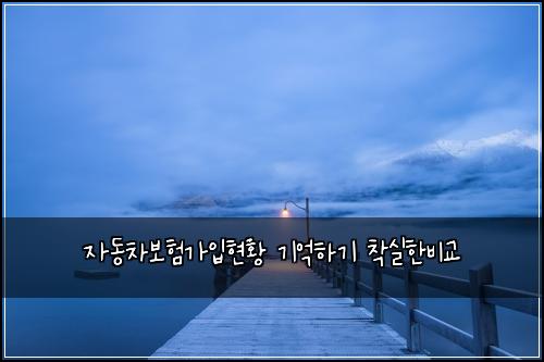 자동차보험가입현황 기억하기 착실한비교