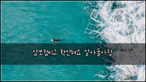 암보험비교 확인해요 알아둘사항