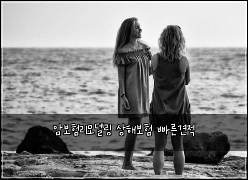 암보험리모델링 상해보험 빠른견적