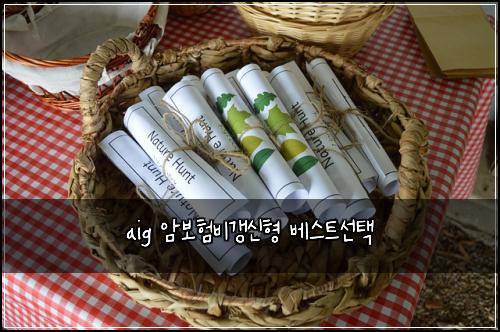 aig 암보험비갱신형 베스트선택