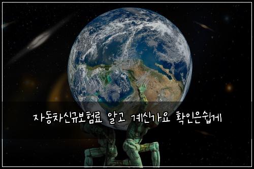 자동차신규보험료 알고 계신가요 확인은쉽게