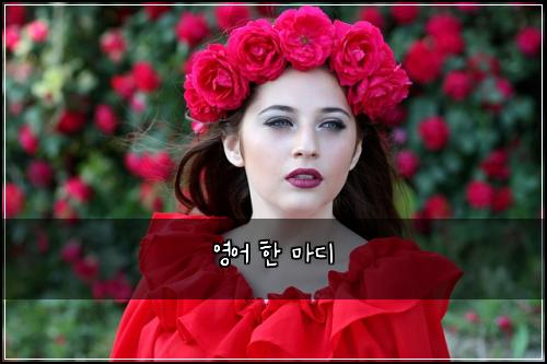 영어 한 마디