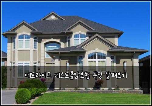 메트라이프 베스트콜암보험 특징 살펴보기